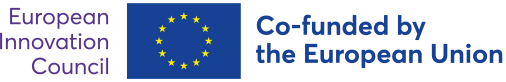 Horizon Europe ERC logo